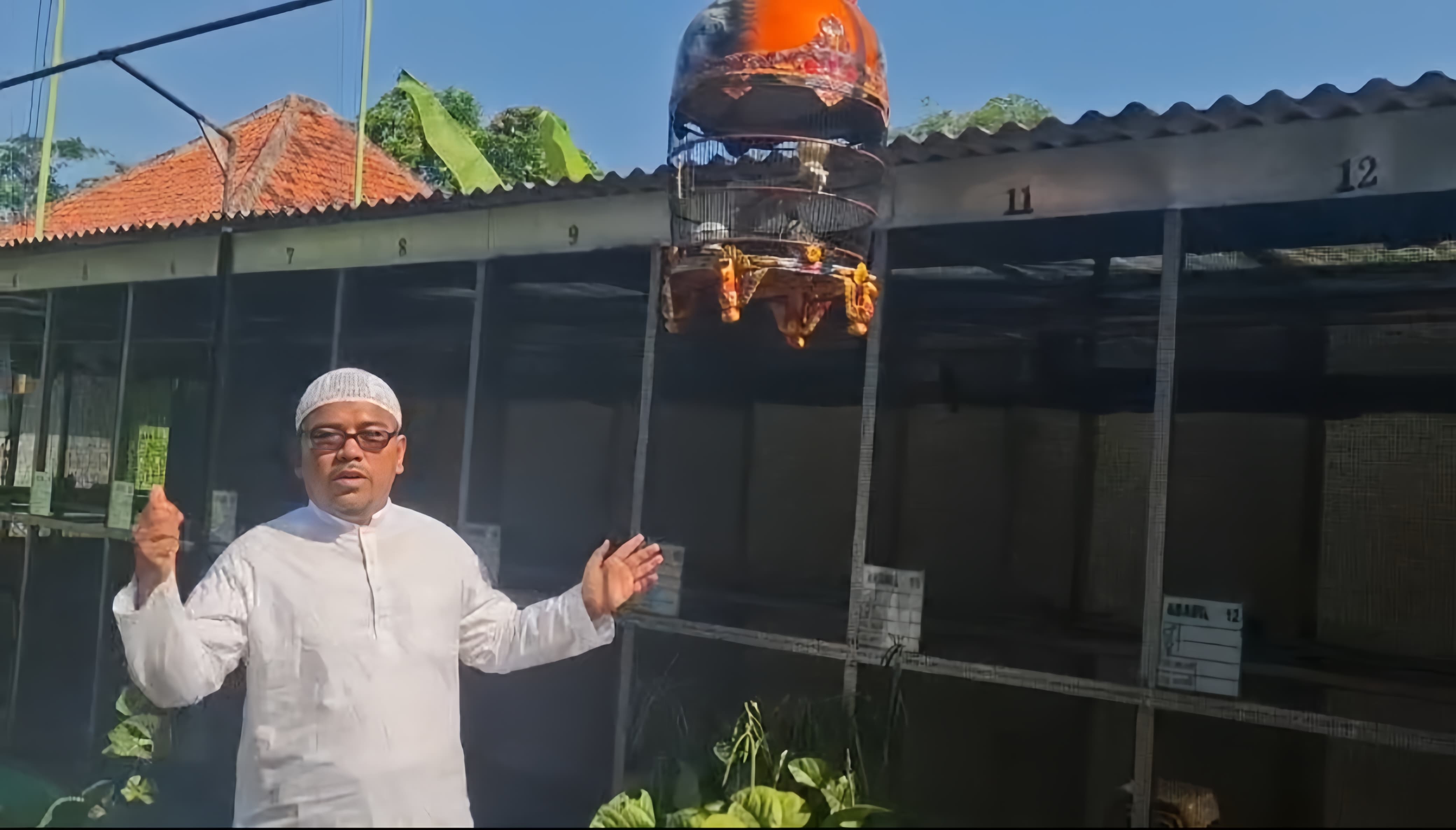 Dari Desa Dulang ke Pasar Dunia, Peternak Perkutut Sampang Ukir Prestasi Internasional