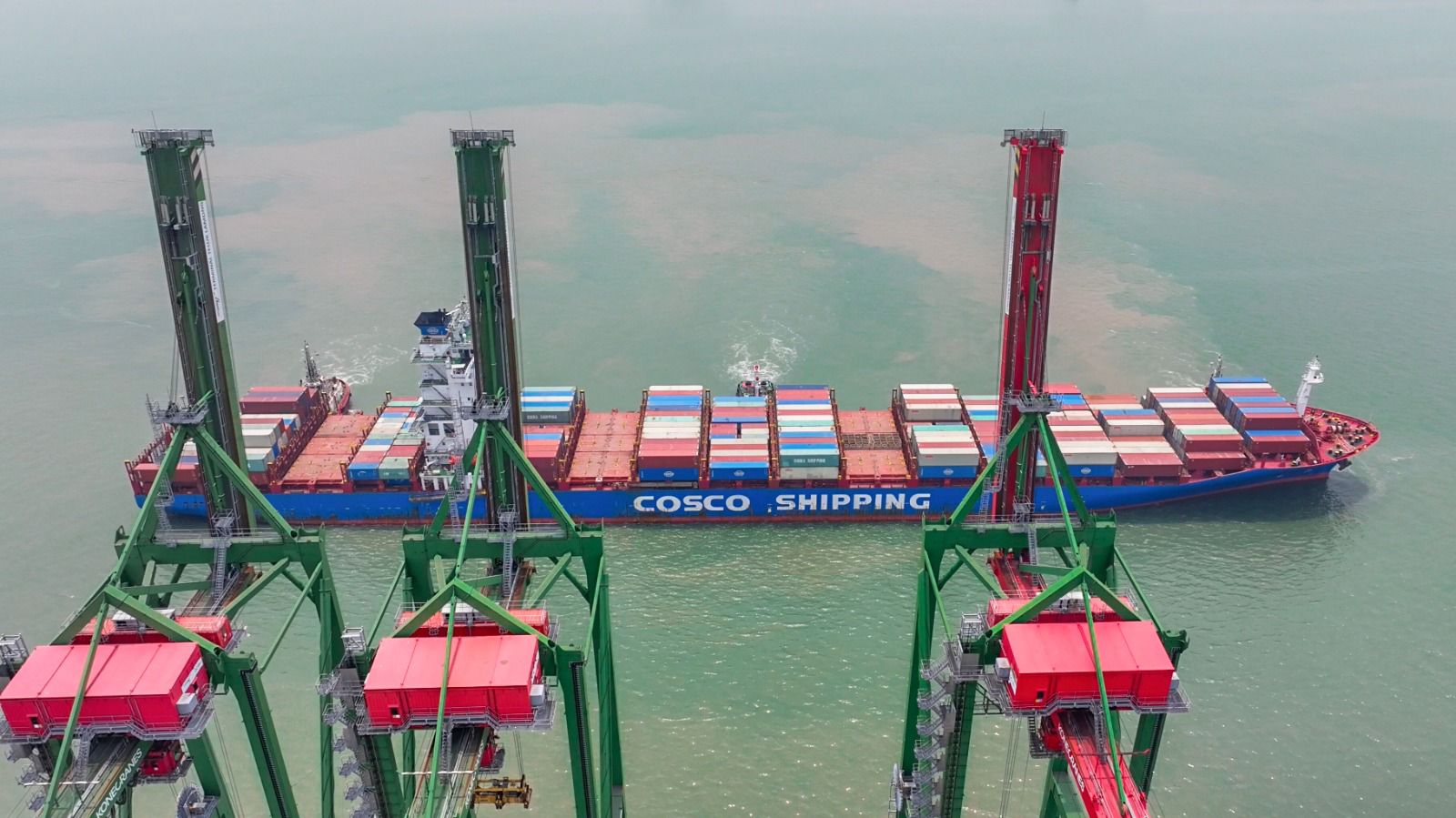 COSCO Shipping Resmi Buka Rute Baru ke Nava Sheva Lewat Terminal Teluk Lamong