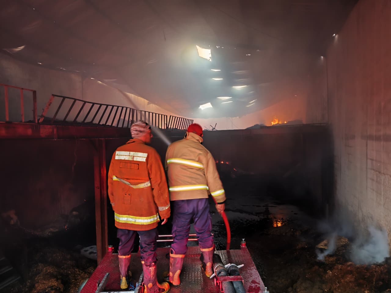 Kebakaran Serbuk Kayu di Pabrik Driyorejo Gresik, Petugas Damkar Padamkan Api Selama Tujuh Jam