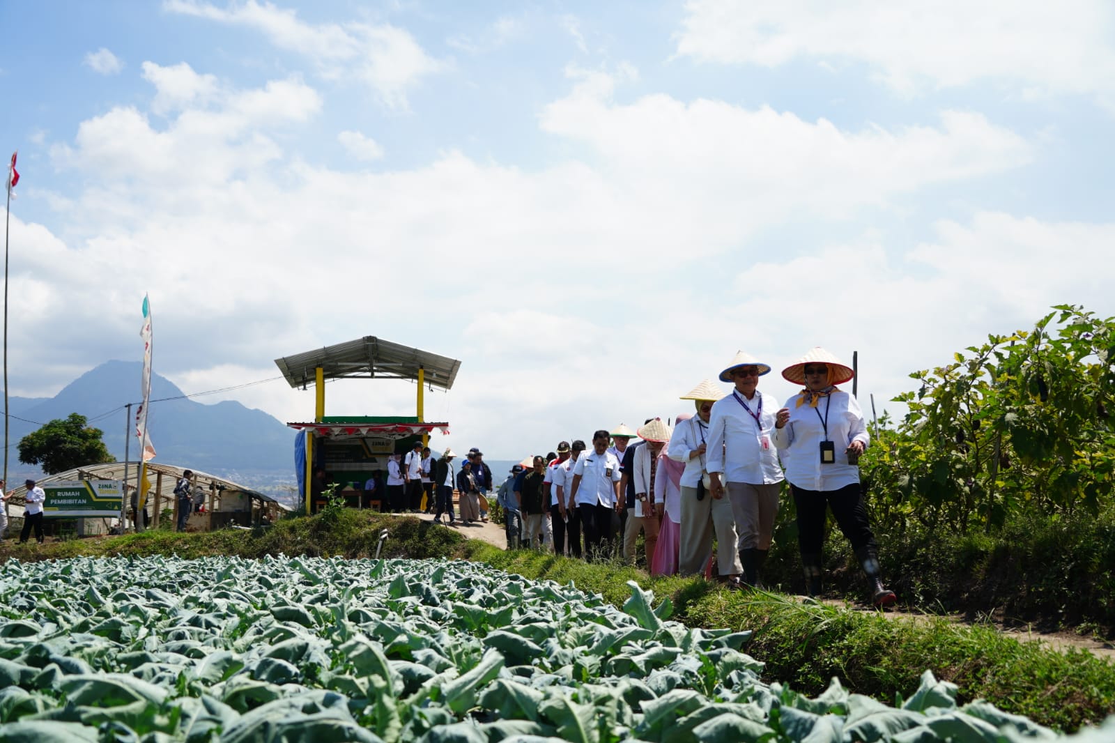 Transformasi Tawangargo: Dari Desa Hortikultura Biasa Menjadi Pusat Inovasi Pertanian Berkelanjutan