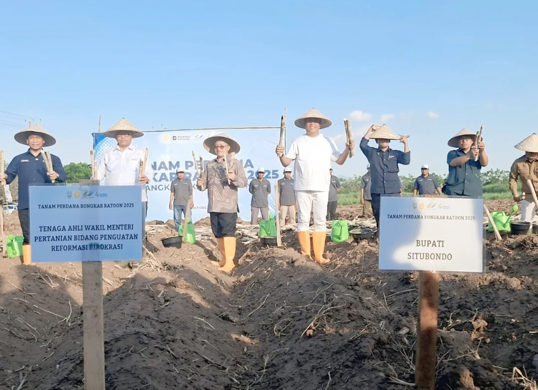 SGN Gelar Tanam Bongkar Ratoon Tebu di Situbondo