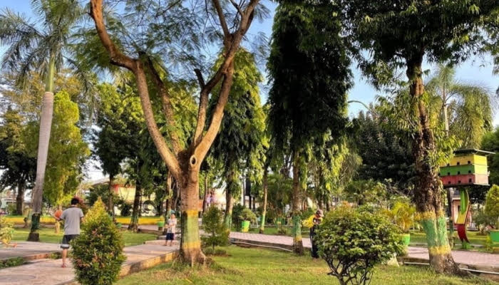 Ratusan Bibit DLH Sumenep Masih Menganggur, Dinas Alasan Tunggu Lokasi Tepat