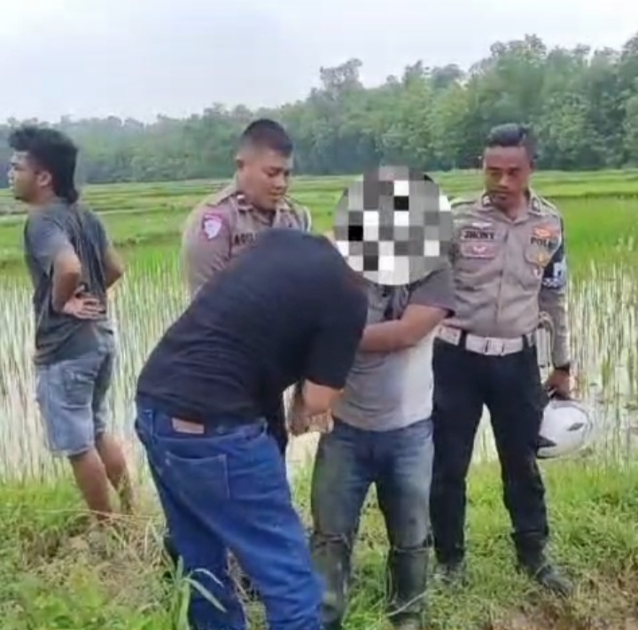 Penangkapan Terduga Curanmor di Sampang Berlangsung Dramatis di Tengah Persawahan