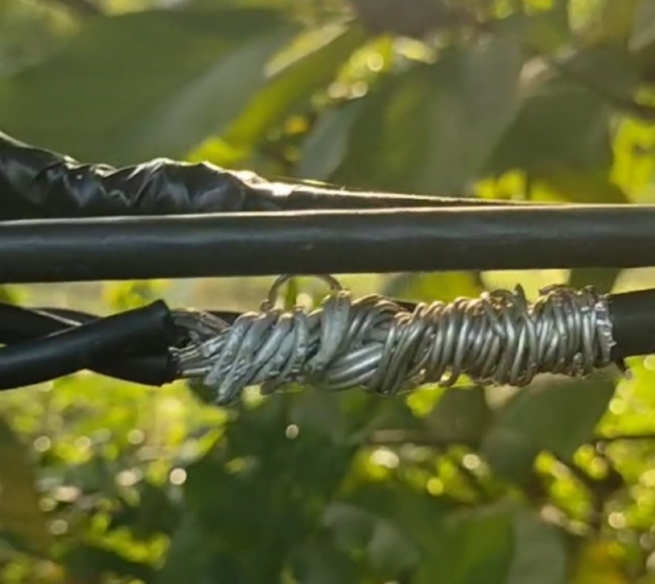 Bahaya Mengancam! Warga Torjun Sampang Keluhkan Kabel Mengelupas yang Tak Kunjung Diperbaiki PLN