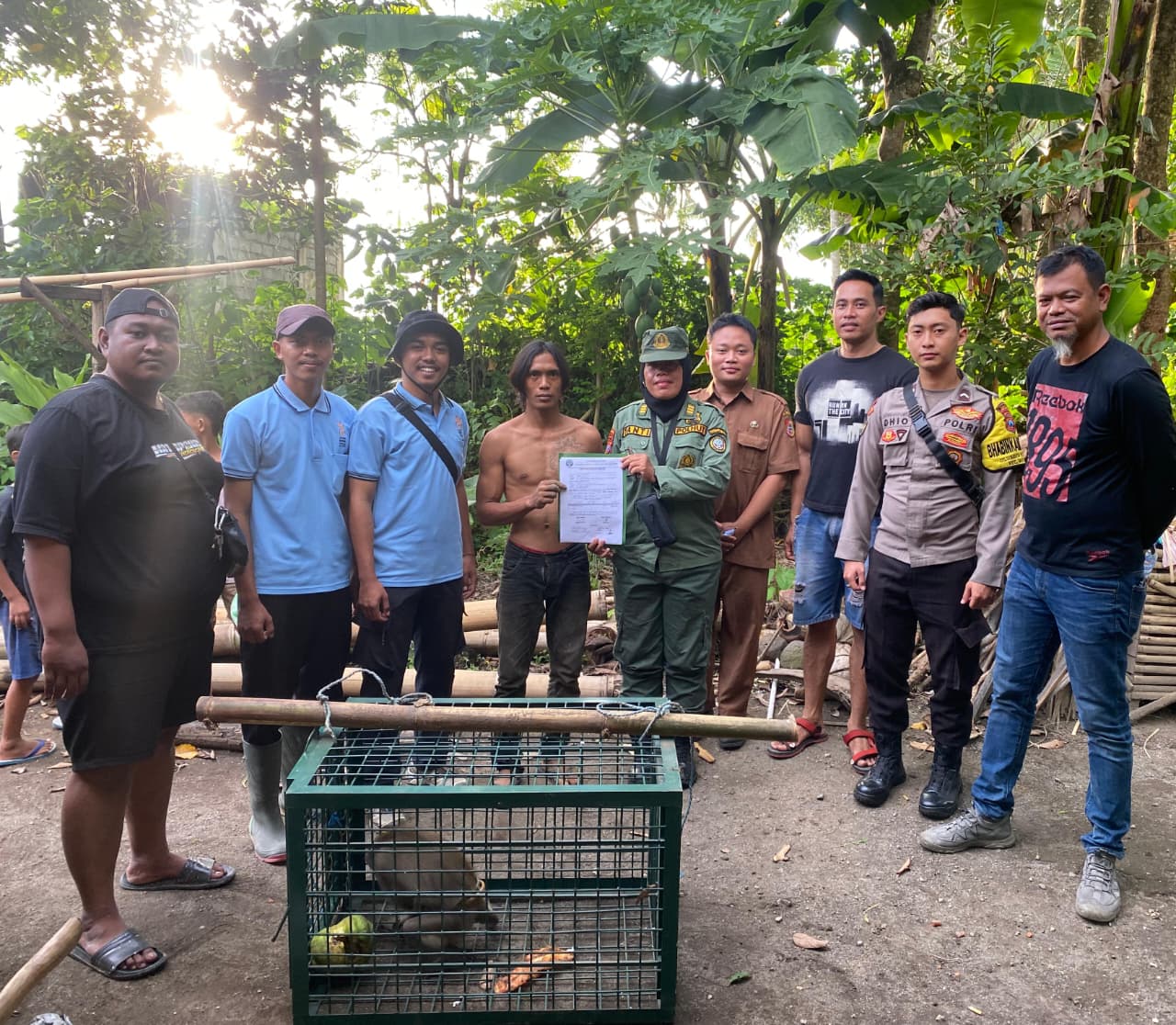 Balita di Mayang Digigit Monyet Peliharaan, Satwa Diserahkan ke BKSDA Jember
