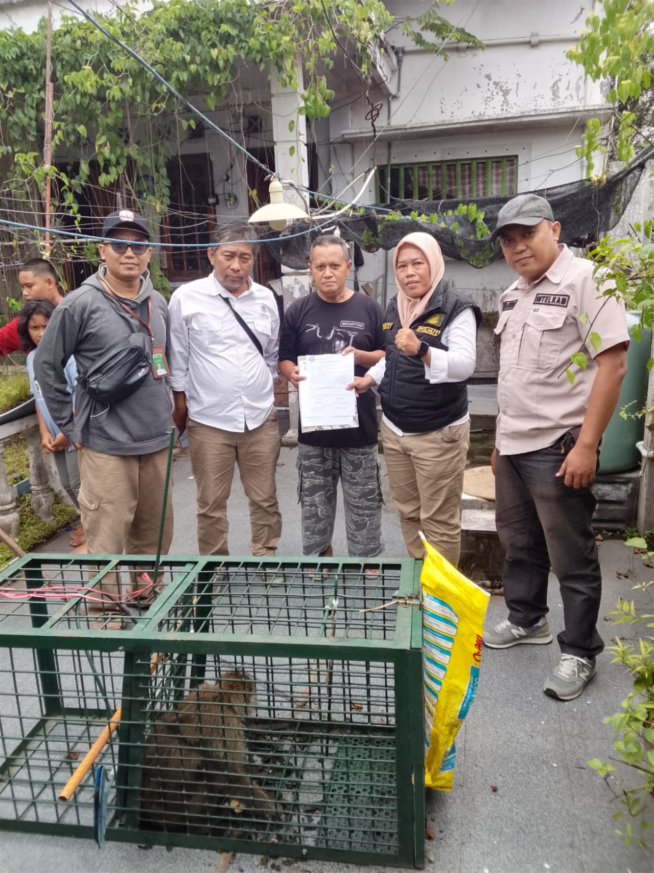 Viral Monyet Lepas di Kencong Jember, Resahkan Warga Dusun Gumuk Banji