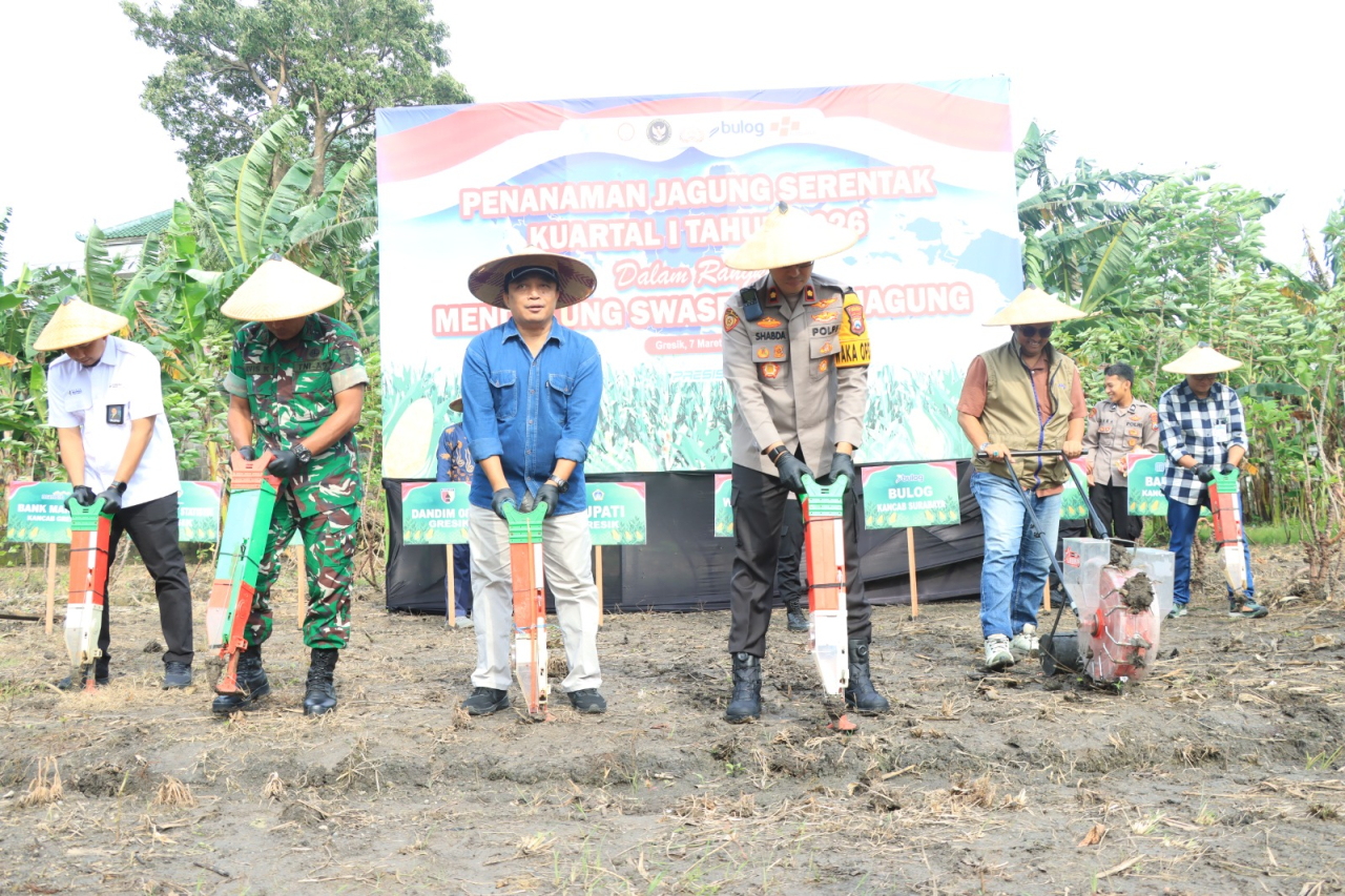 Polres Gresik Bersama Forkopimda Tanam Jagung 1,2 Hektare di Kebomas, Dukung Swasembada Pangan Nasional