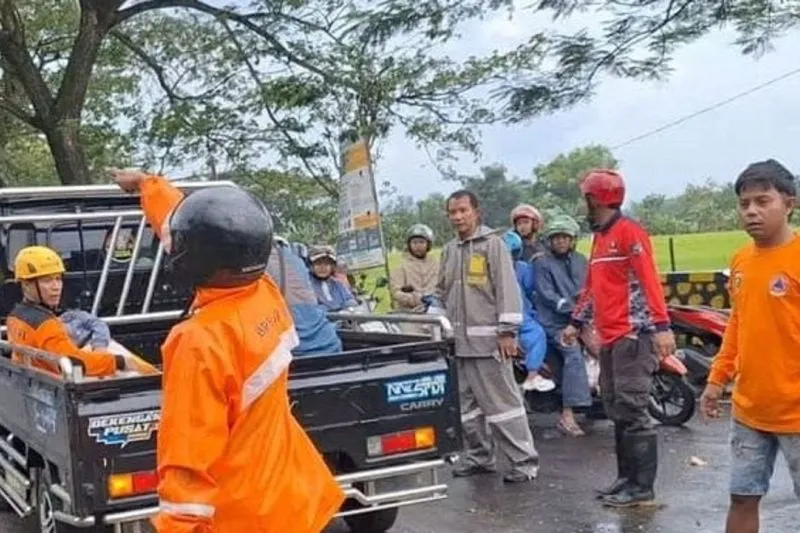 Pohon Tumbang Timpa Tiga Pengendara di Magetan, Satu Orang Tewas