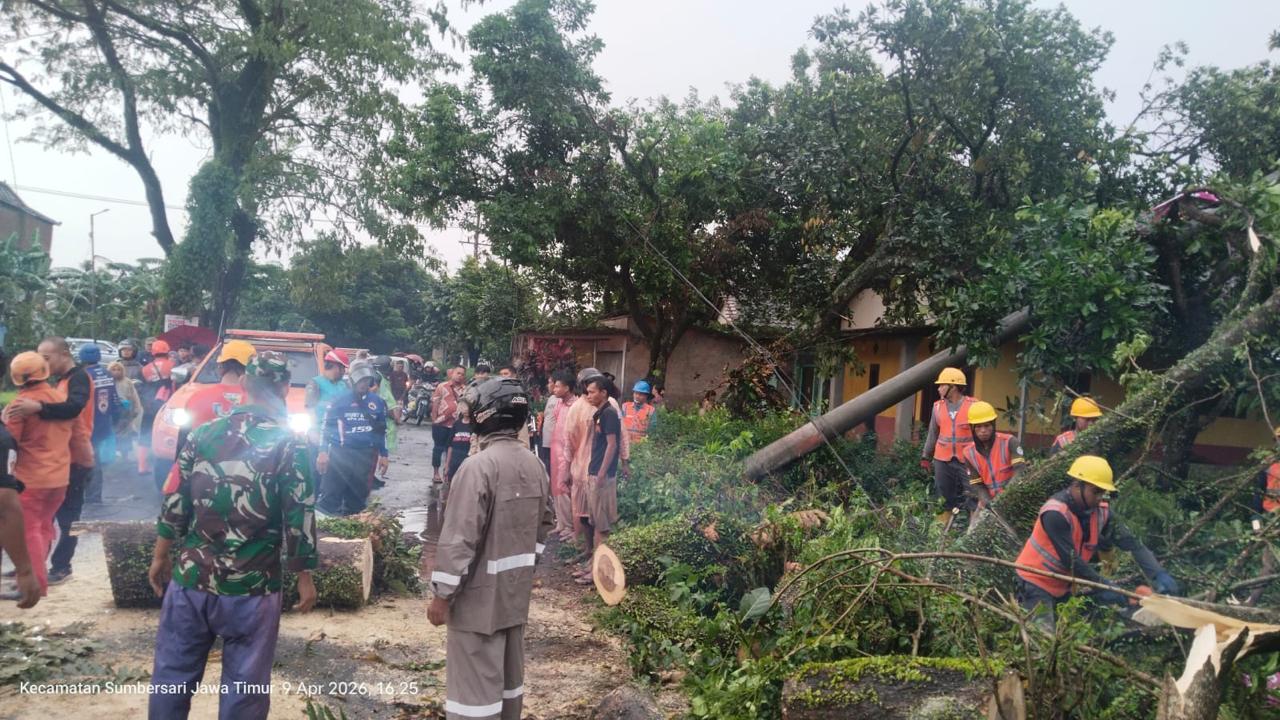 Hujan Angin di Jember Robohkan Tiang Listrik, 130 Pelanggan Terdampak Padam Hingga 13 Jam