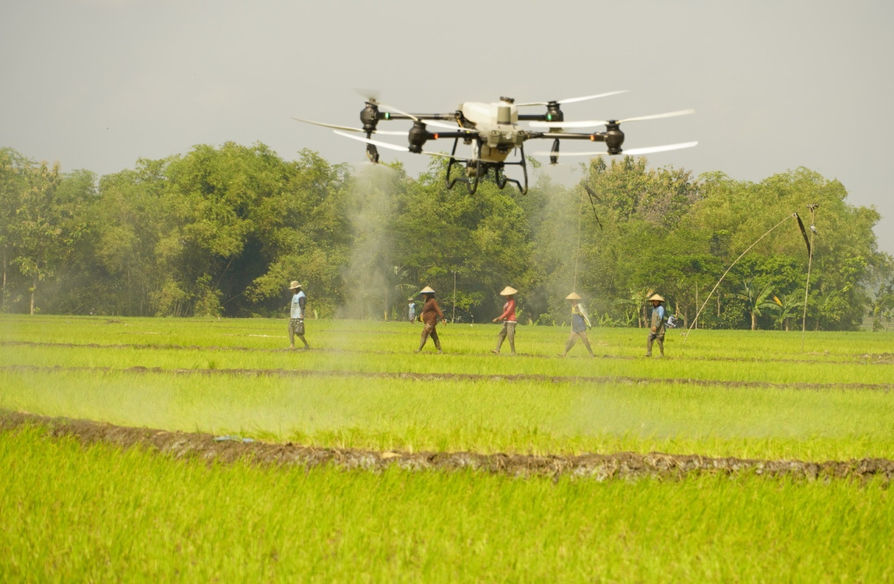 Drone Masuk Sawah! Teknologi Pertanian Presisi Uji Coba Pupuk Cair di Lahan 50 Hektare Bojonegoro