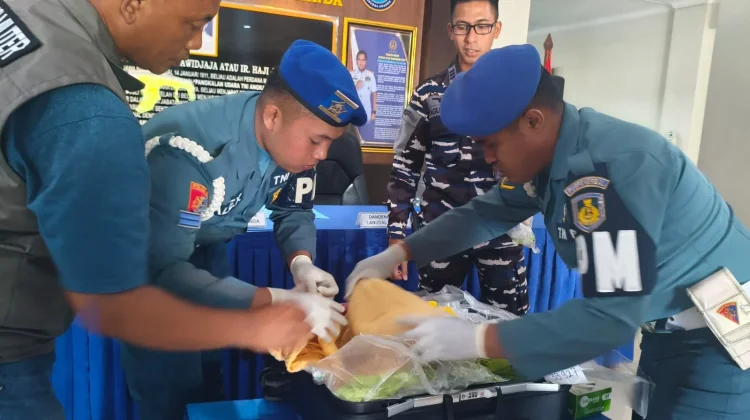 Satgaspam Bandara Juanda Gagalkan Penyelundupan 39,9 Ribu Benih Belur Lobster