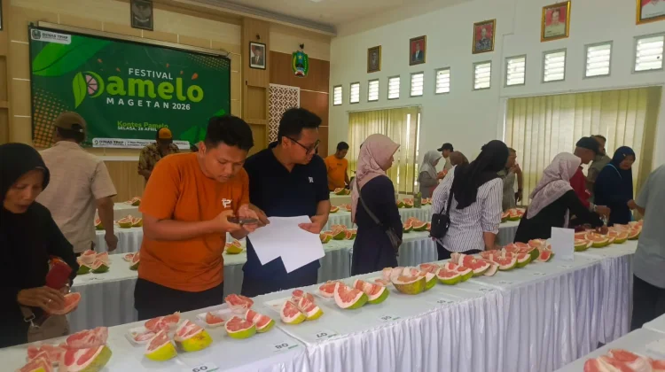 Festival Pamelo Strategi Pemkab Magetan Promosikan Jeruk Khas Magetan