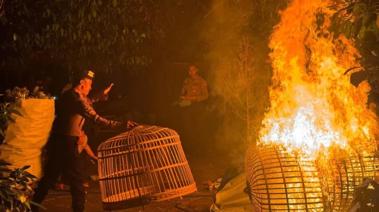 Polres Kediri Bubarkan Arena Judi Sabung Ayam di Plemahan