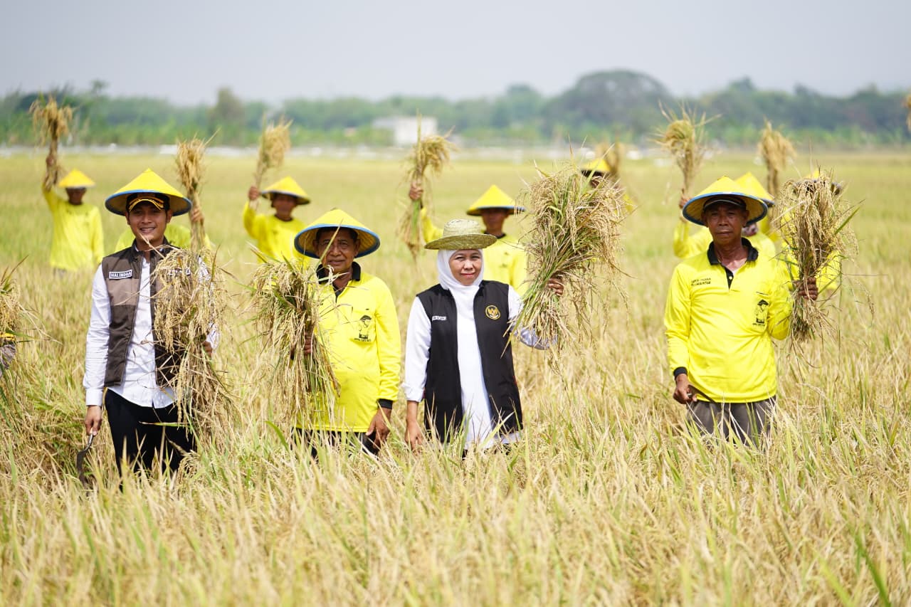 Gubernur Khofifah Instruksikan Bupati/Wali Kota Jaga Produksi Pertanian Jawa Timur