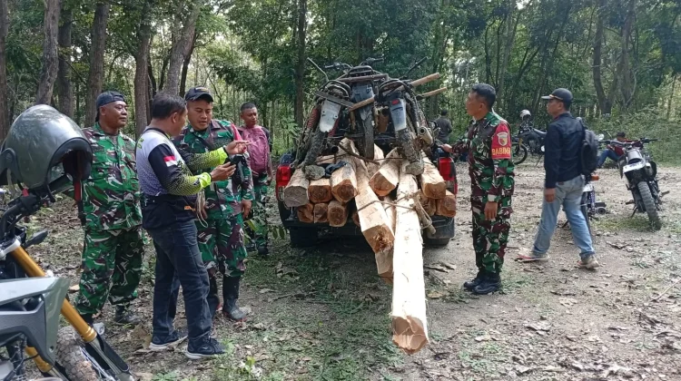 Pembalakan Hutan Jatirogo Diamankan Babinsa dan KPH Tuban