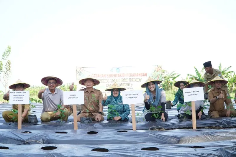 Perkuat Ketahanan Pangan, Pemkab Lamongan Optimalkan Pekarangan