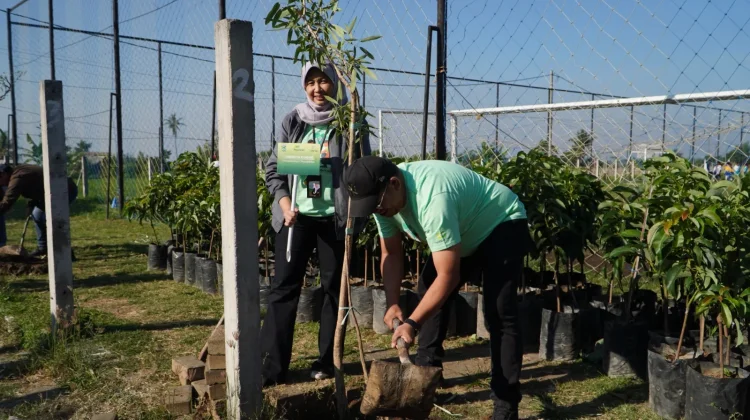 ,Perkuat Komitmen Hijau, Pegadaian Kanwil XII Surabaya Tanam 240 Pohon